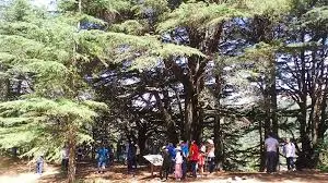 Beiteddine, Deir el Qamar and Cedars cultural attraction