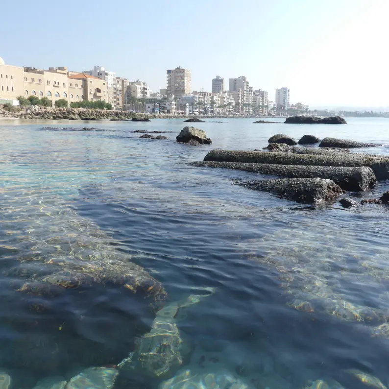 Sidon, Tyre and Maghdouche transportation and departure